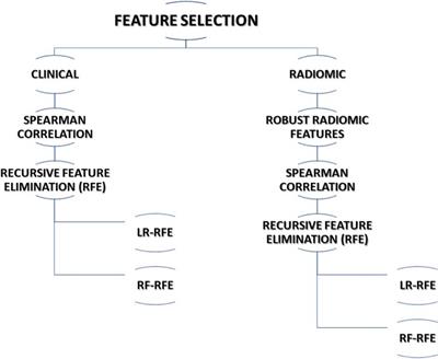 Development and validation of radiomic signature for predicting overall survival in advanced stage cervical cancer